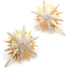 Kuzey Yıldızı Küpe - Rose