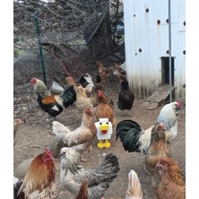 Minecraft Temalı Tavuk Chicken Figür