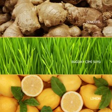 Ancient Greens Ginger Shot  2,4g x 10 Zencefil, Limon, Buğday Çimi Suyu Tozu Dondurularak Kurutulmuş, Glutensiz, Vegan