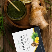 Ancient Greens Ginger Shot  2,4g x 10 Zencefil, Limon, Buğday Çimi Suyu Tozu Dondurularak Kurutulmuş, Glutensiz, Vegan
