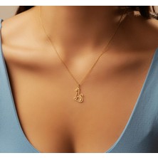 Kedi 14 Ayar Altın Kolye