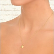 Yıldız Model Şans 14 Ayar Altın Kolye