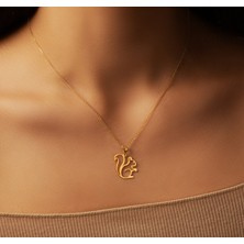 Sincap 14 Ayar Altın Kolye