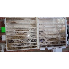 BYR Formicarium Modüler Karınca Çiftliği (Plastik Aparattır!!!)