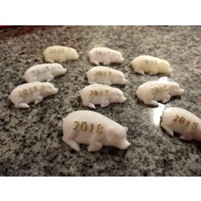 BYR Yeni Yıl 2018 Domuz (Plastik Aparattır!!!)