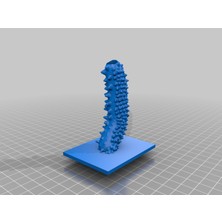 BYR Deniz Salatalığı Kalemlik (Plastik Aparattır!!!)