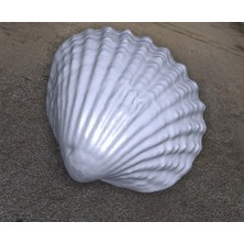 BYR Deniz Kabuğu (Plastik Aparattır!!!)