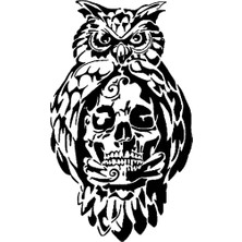 BYR Baykuş Kafatası Kalıbı 1 (Plastik Aparattır!!!)