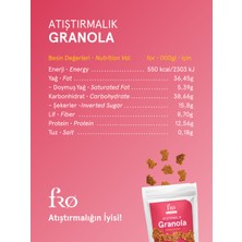 Fro 3'lü Atıştırmalık Granola Vegan Glutensiz Şekersiz Atıştırmalık Sağlıklı Ara Öğün Granola