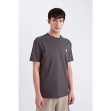 Defacto Erkek  T-Shirt D5560AX/AR104 Anthra
