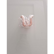 Renkli Kendinden Yapışkanlı Terlik Rafları