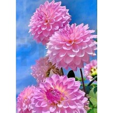 Çiçekler 30*40 cm  Pixart Sanat Elmas Mozaik Tablo Diamond Türkiye