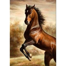 Pix Art Sanat Şaha Kalkmış At Pixart Sanat Elmas Mozaik Tablo Diamond Türkiye 59*62