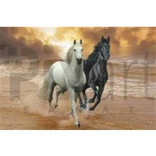 Pix Art Sanat Yarışan Iki At Pixart Sanat Elmas Mozik Tablo Daimond Türkiye 78*53