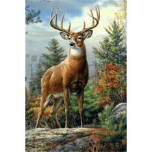 Pix Art Sanat Ihtişamlı Geyik   Pixart   Sanat Elmas Mozik Tablo Daimond Türkiye 37*57