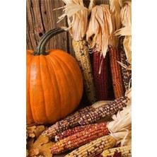 Mısırlar ve Balkabağı Pixart Sanat Elmas Mozaik Tablo Diamond Türkiye 36*51