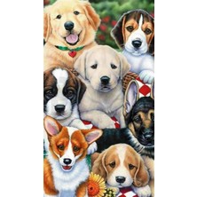 Pix Art Sanat Dostlar Toplantısı   Pixart   Sanat Elmas Mozik Tablo Daimond Türkiye 40*68