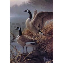 Pix Art Sanat Göl Kenarındaki Ikili   Pixart   Sanat Elmas Mozik Tablo Daimond Türkiye 38*63