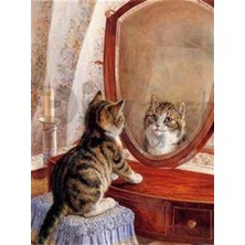 Pix Art Sanat Süsülü Kedicik Pixart Sanat  Elmas Mozaik Tablo Diamond Türkiye 40*53
