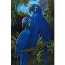 Pix Art Sanat Doğadakiki  Mavi Dostlar  Pixart Sanat  Elmas Mozaik Tablo Diamond Türkiye 42*59