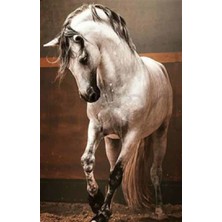 Pix Art Sanat Güzel Yeleli Beyaz At  Pixart Sanat  Sanat  Elmas Mozaik Tablo Diamond Türkiye 34*52