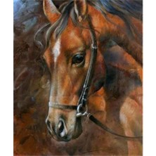 Pix Art Sanat Kahverengi At   Pixart Sanat Elmas Mozik Tablo Daimond Türkiye 47*52