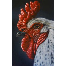PixArt Kirmizi Ibikli Horoz 40 x 60 Elmas Mozaik Tablo