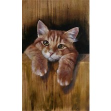 Pix Art Sanat Oyuncu Kedi  Pixart   Sanat Elmas Mozik Tablo Daimond Türkiye 32*52