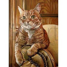 Pix Art Sanat Turuncu Kedi  Pixart Sanat Elmas Mozik Tablo Daimond Türkiye 38*50