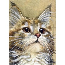 Pix Art Sanat Yavru Kedi  Pixart   Sanat Elmas Mozik Tablo Daimond Türkiye 38*53