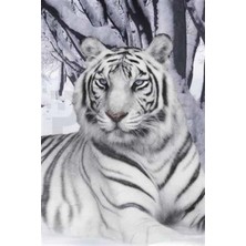 Pix Art Sanat Asil Kaplan Pixart Sanat Elmas Mozik Tablo Daimond Türkiye 35*53