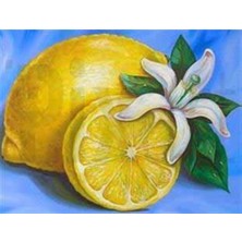 Limon ve Çiçeği Pixart Sanat Elmas Mozaik Tablo Diamond Türkiye 53*41