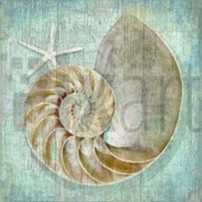 Pix Art Sanat Deniz Kabuğu ve Deniz Yıldızı Pixart Sanat Elmas Mozaik Tablo Diamond Türkiye 58*58