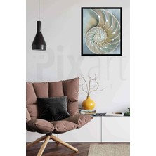 Pix Art Sanat Deniz Kabuğu Pixart Sanat Elmas Mozaik Tablo Diamond Türkiye 48*58
