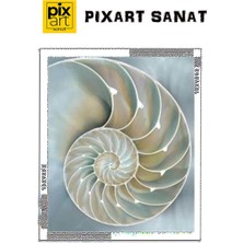 Pix Art Sanat Deniz Kabuğu Pixart Sanat Elmas Mozaik Tablo Diamond Türkiye 48*58