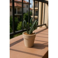 Doğal Taş Detaylı Mini Yapay Kaktüs – 5X14 cm Beton Saksıda Dekoratif Bitki
