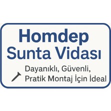 Homdep Sunta Vidası 4X20MM Ahşap Vida Raf Vidası Ahşap Tahta Mobilya Vidası Kısa Vida 100 Adet
