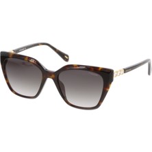 Osse OS3665 02 54*18 145 Kadın Güneş Gözlüğü