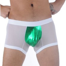 BR291109 Transparan Boxer