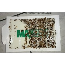 Catch Catchmaster Maxcatch Yapışkanlı Fare Tuzağı - 3'lü Kutu