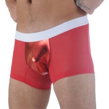 BR291107 Transparan Boxer