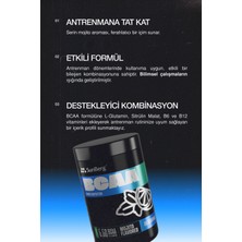 Sunberg Bcaa Mojito 300 G - 35 Servis