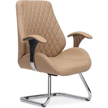 Daisy Misafir U  Ayak