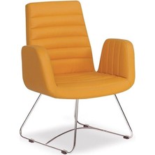 New Spectrum Misafir Koltuğu