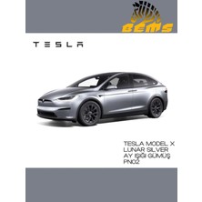 Tesla Lunar Silver (Ay Işığı Gümüş) Rötüş Sprey Boya 400ML