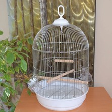 Salon Kafesi Yuvarlak Kafes Krom Ø34X55 x 1 Adet Dpmah