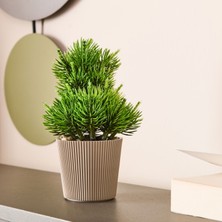 Dekor Saksılı Yapay Çam Ağacı - Renkli - 15X5 cm