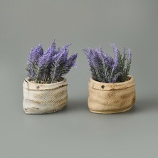 Çuval Saksıda Kır Lavantası -  - 13X9X9 cm