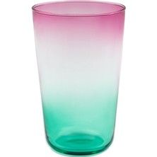Renard 4'lü Meşrubat Bardağı Seti - Pembe/yeşil
