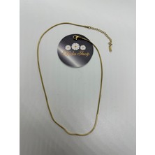 Stainles Steel Ince Çelik Zincir